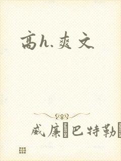 高h.爽文封面