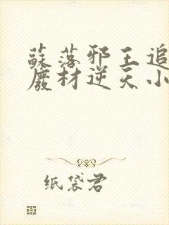 苏落邪王追妻:废材逆天小姐字数