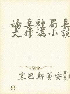 娇妻被局长的粗大撑满小说封面