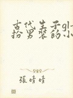 古代生子gl女扮男装的小说推荐封面