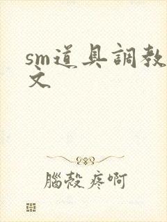 sm道具调教腐文