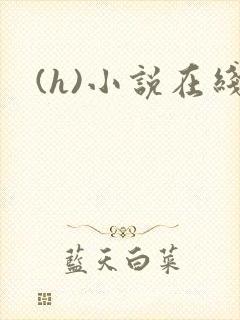 (h)小说在线封面