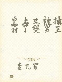 皇上又被摄政王罚了双男主封面