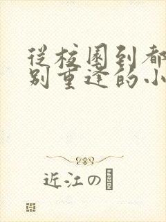 从校园到都市久别重逢的小说封面