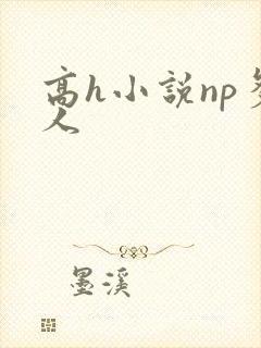 高h小说np多人封面