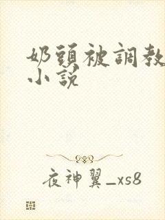 奶头被调教大的小说封面