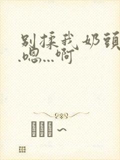 别揉我奶头...嗯...啊