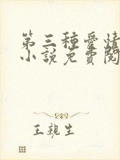 第三种爱情原著小说免费阅读