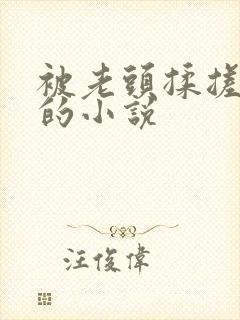 被老头揉搓奶头的小说