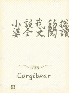 小说我的总裁老婆全文阅读