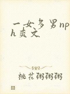 一女多男np高h爽文封面