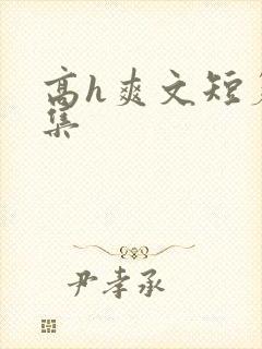 高h爽文短篇合集封面