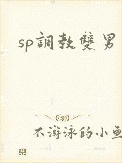 sp调教双男
