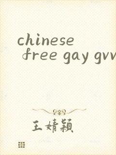 chinese free gay gvvideo