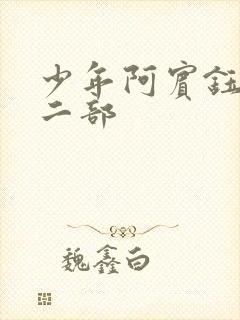 少年阿宾钰慧第二部