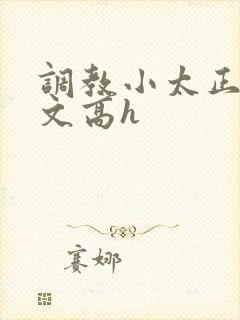 调教小太正肉车文高h