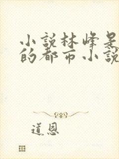 小说林峰是主角的都市小说