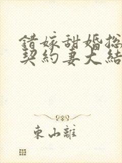 错嫁甜婚总裁的契约妻大结局封面