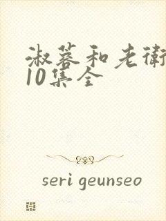 淑蓉和老卫1一10集全封面