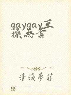 gaygay互操无套