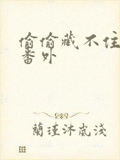 偷偷藏不住新婚番外