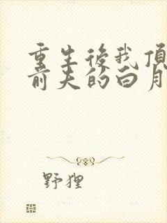 重生后我顶替了前夫的白月光