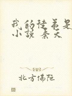 我的徒弟是女帝小说 秦天封面