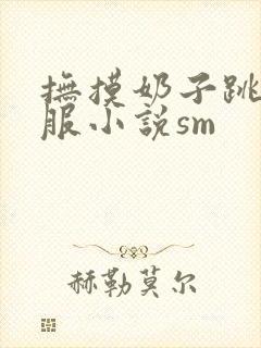 抚摸奶子跳蛋舒服小说sm
