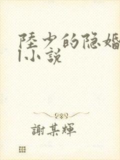 陆少的隐婚罪妻l小说