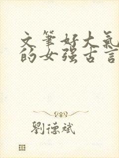 文笔好大气磅礴的女强古言封面