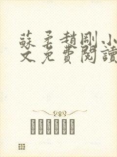 苏柔赵刚小说全文免费阅读封面