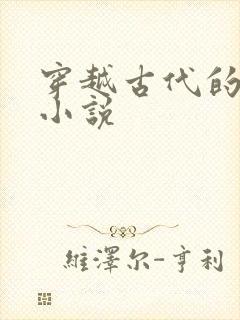 穿越古代的h文小说封面