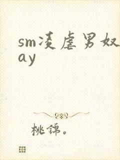 sm凌虐男奴gay