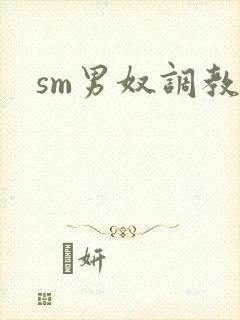 sm男奴调教文封面