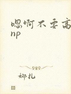 嗯啊不要高h np