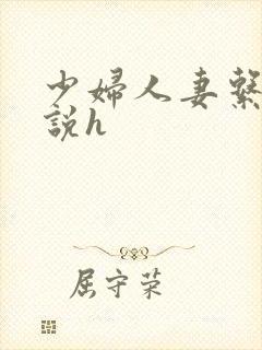 少妇人妻系列小说h