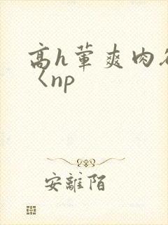 高h荤爽肉欲文〈np