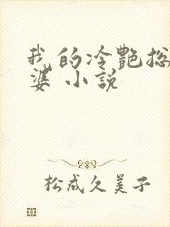 我的冷艳总裁老婆 小说