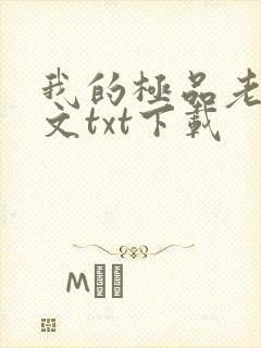 我的极品老婆全文txt下载封面