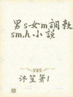 男s女m调教(sm,h小说