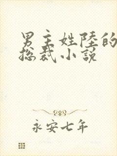 男主姓陆的所有总裁小说