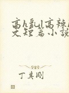 高h乱l高辣h文短篇小说男男