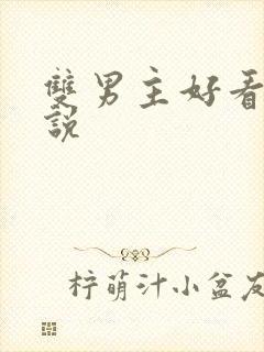 双男主好看的小说封面