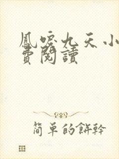 凤唳九天小说免费阅读