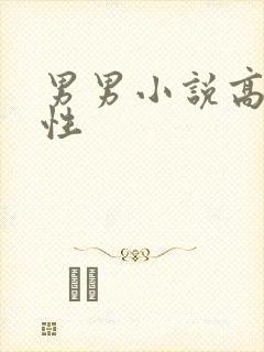 男男小说高h双性