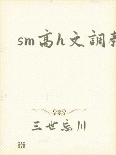 sm高h文调教