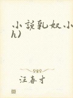 小说乳奴小小(h)