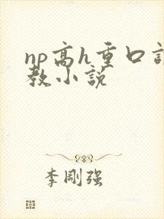 np高h重口调教小说