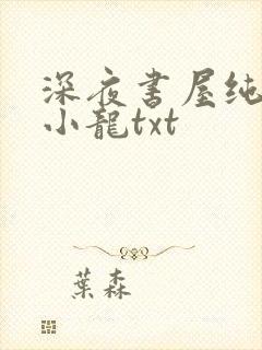 深夜书屋纯洁滴小龙txt