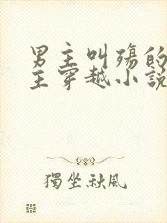 男主叫殇的,女主穿越小说封面